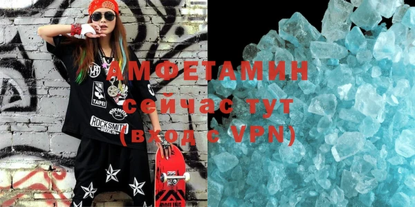 прущие грибы Верея