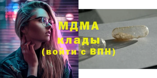 прущие грибы Верея
