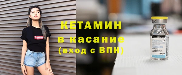 прущие грибы Верея