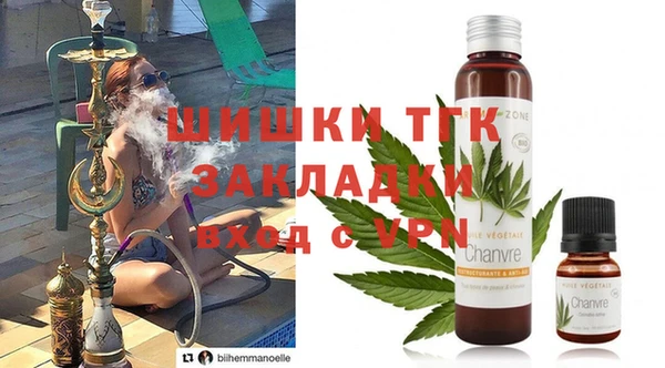 прущие грибы Верея