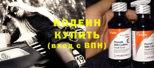прущие грибы Верея
