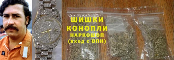 прущие грибы Верея