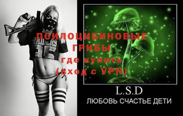 прущие грибы Верея