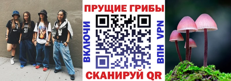 Галлюциногенные грибы прущие грибы  МЕГА маркетплейс  Саранск 