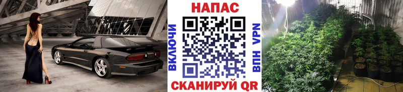 закладки Саранск Шишки марихуана семена